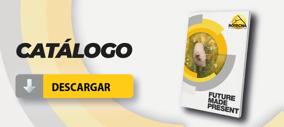 descarga-catalogo-2025_movil_es
