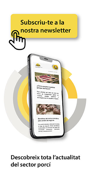suscripcion-newsletter-rotecna-2025_ca