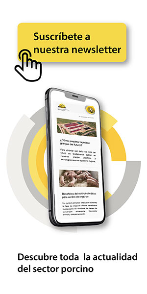 suscripcion-newsletter-rotecna-2025_es
