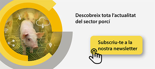 suscripcion-newsletter-rotecna-2025_movil_ca