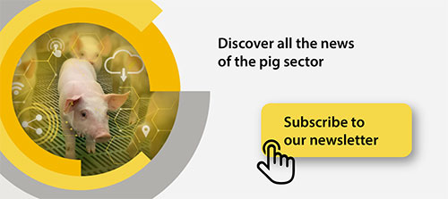 suscripcion-newsletter-rotecna-2025_movil_en
