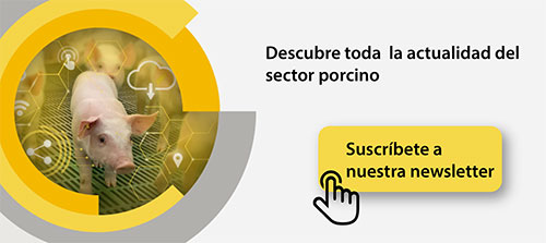 suscripcion-newsletter-rotecna-2025_movil_es