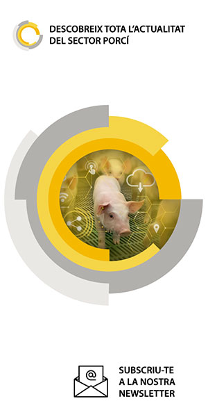 suscripcion-newsletter-rotecna-2025_ca
