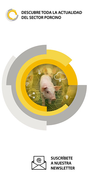 suscripcion-newsletter-rotecna-2025_es