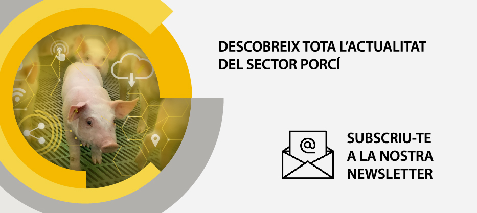 suscripcion-newsletter-rotecna-2025_movil_ca