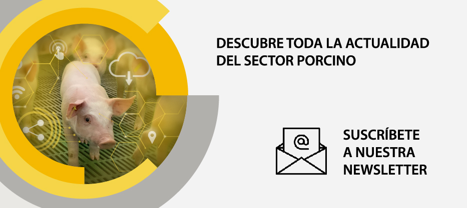 suscripcion-newsletter-rotecna-2025_movil_es