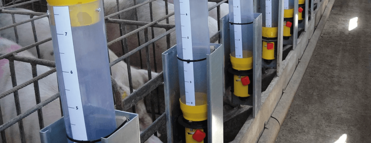 Advantages of the Feeding Ball in the weaning-to-breeding period