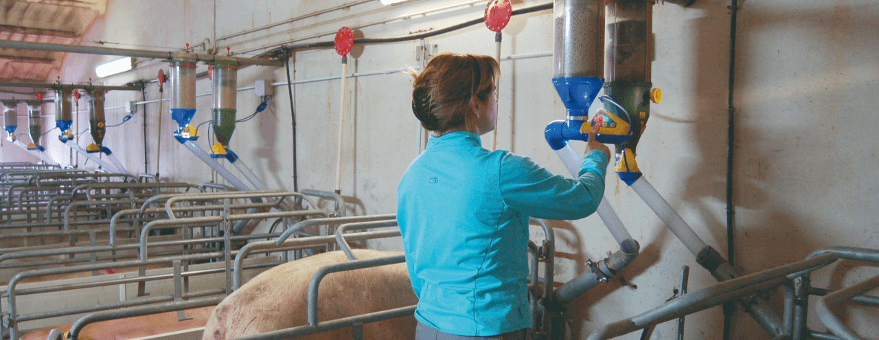 Núria Erill: "With the Dositronic we have increased the consumption by sows of feed and water"