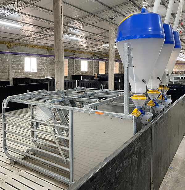 dositronic G rotecna