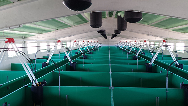 Real Decreto 809/2025