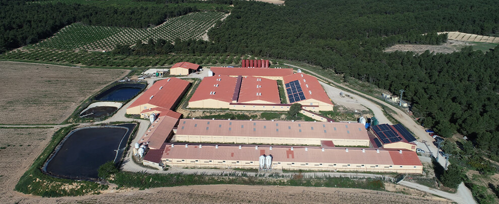 &iquest;Cu&aacute;les son las principales medidas de bioseguridad externa en granjas porcinas?