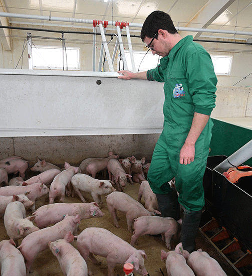 protocolos de bioseguridad