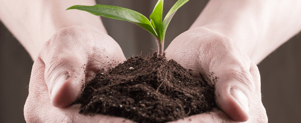 Estrategias para combatir el cambio climático desde nuestras granjas