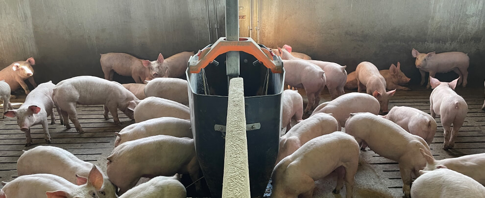 S. Martos: “With the TR3D, we have no feed waste”