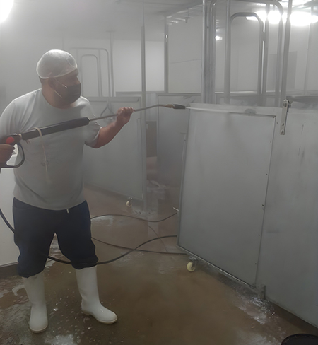 desinfeccion granjas porcinas