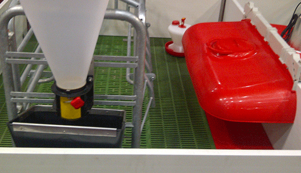 limpieza de granjas de cerdos