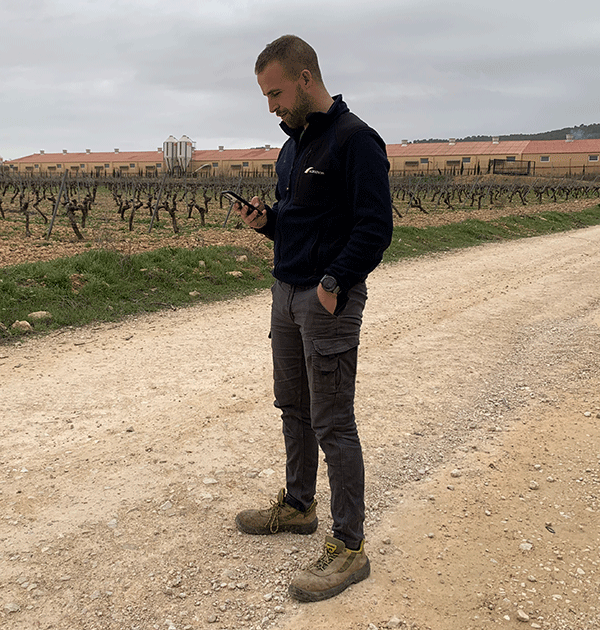 datos en la nube granjas porcinas