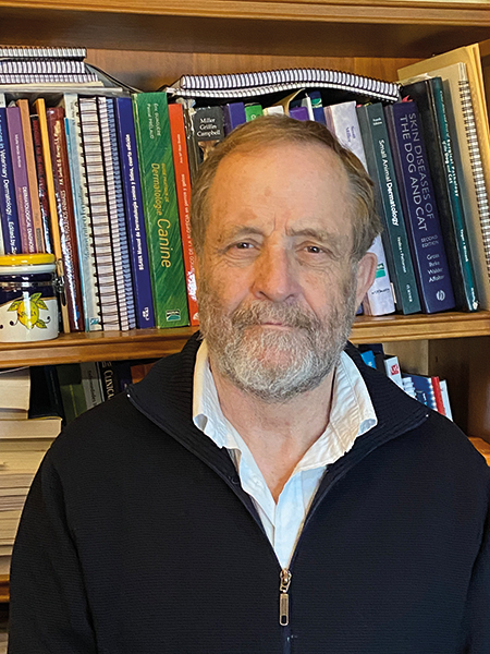 manejo lechones en destete