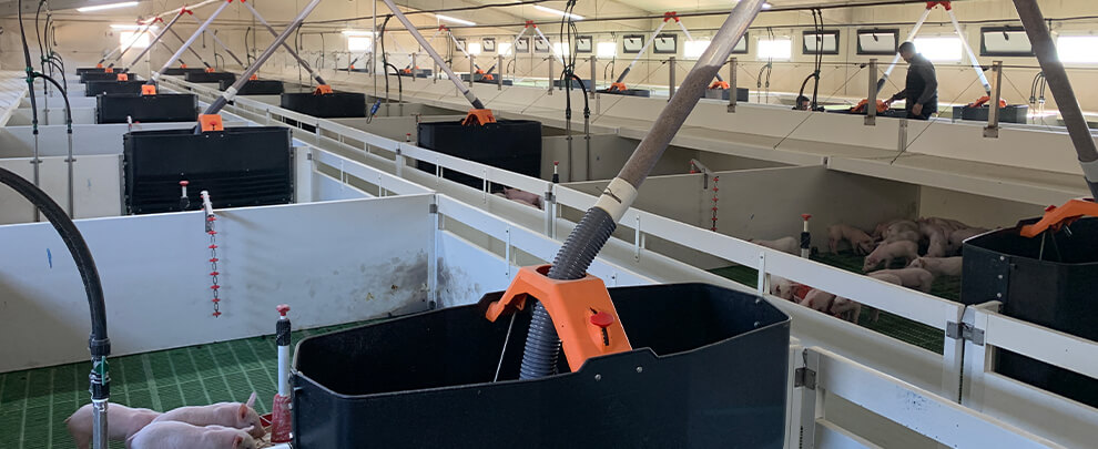 Trends in weaning equipment