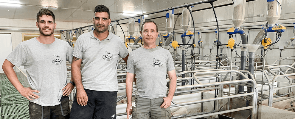 Advantages of the Rotecna electronic feeding system for farrowing sows