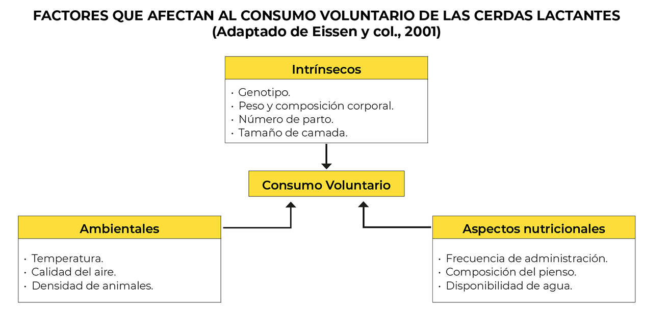 factores consumo voluntario