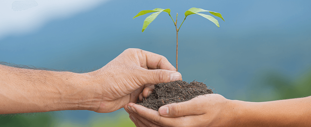 De la granja a la taula, camí a l'alimentació sostenible