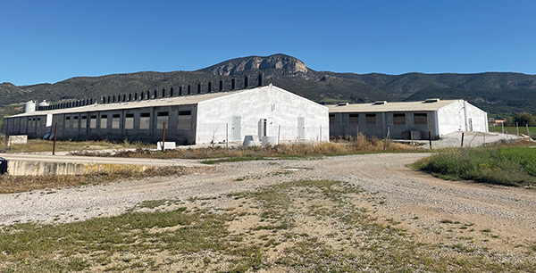 bioseguridad granjas porcinas
