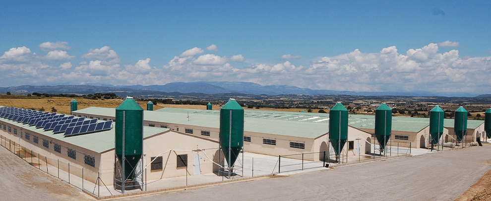 Two years with no farm extensions or new farms in some catalan areas