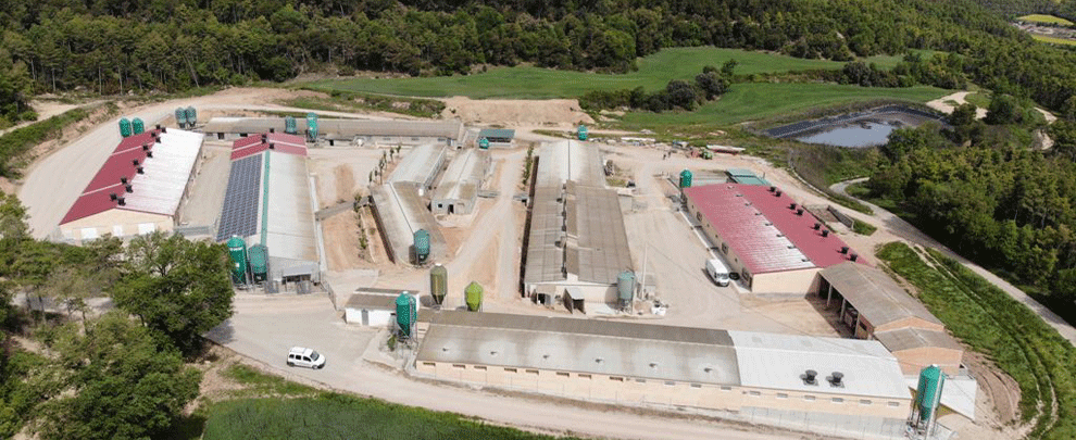 Good practices and technology for sustainable pig production