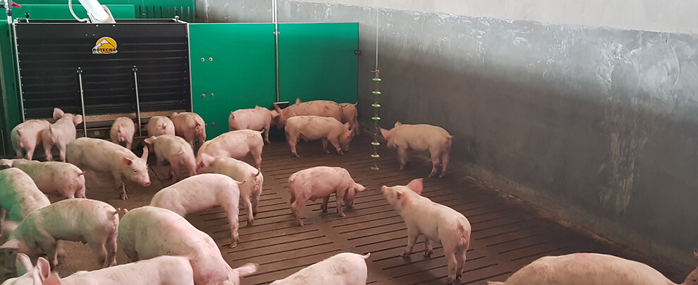 What indicators distinguish the most efficient pig farms?