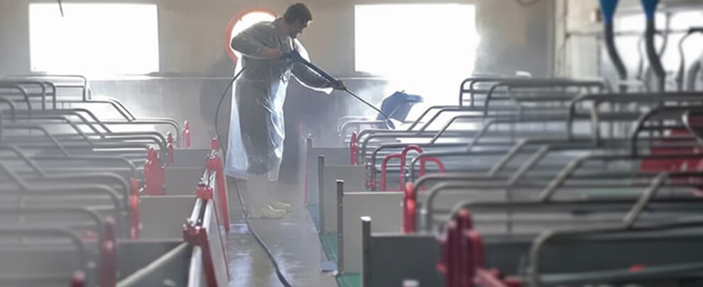 P. Peña: “Investing in farm cleaning is investing in prevention”