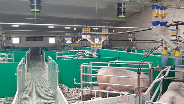 DeepCare4Pigs