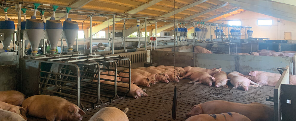 What are the keys to successfully implementing batch management system?