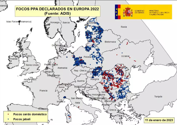 peste porcina africana en europa