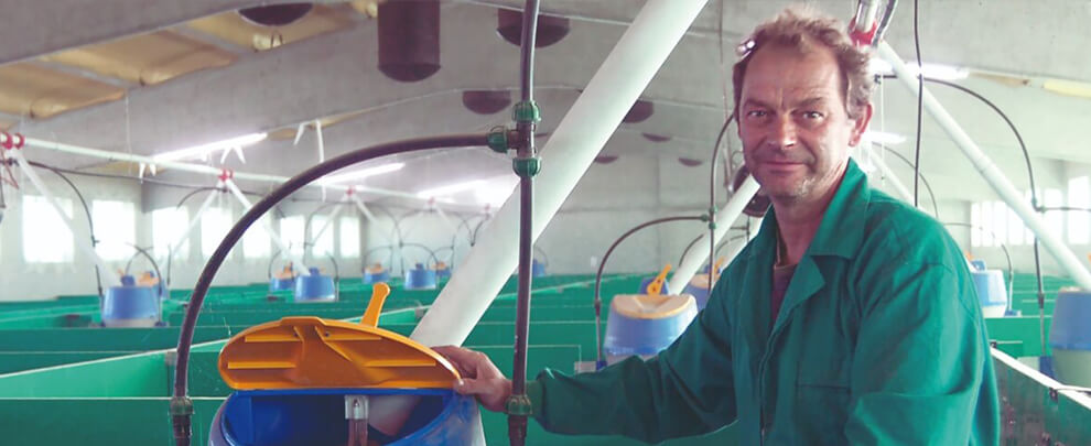 I. Culleré: "Working with panels is a huge saving in time and water"