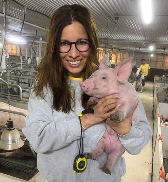 protocolo limpieza granjas porcinas