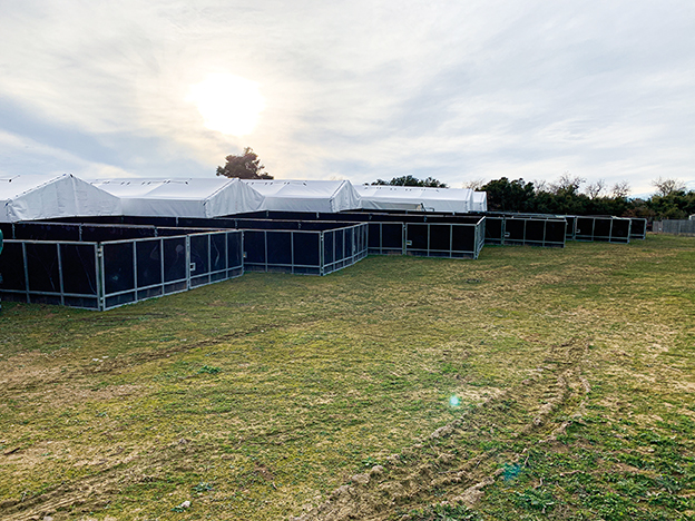 plazas destete en granja ecologica