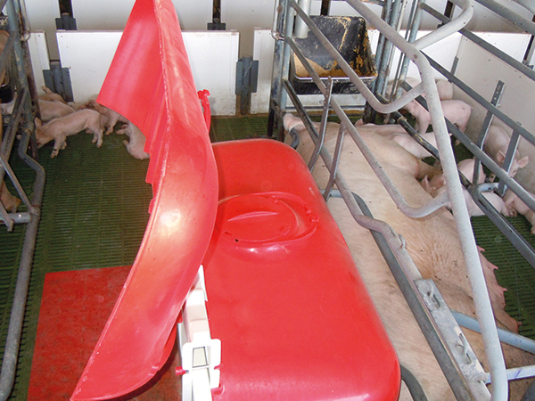 granjas de cerdos en Peru