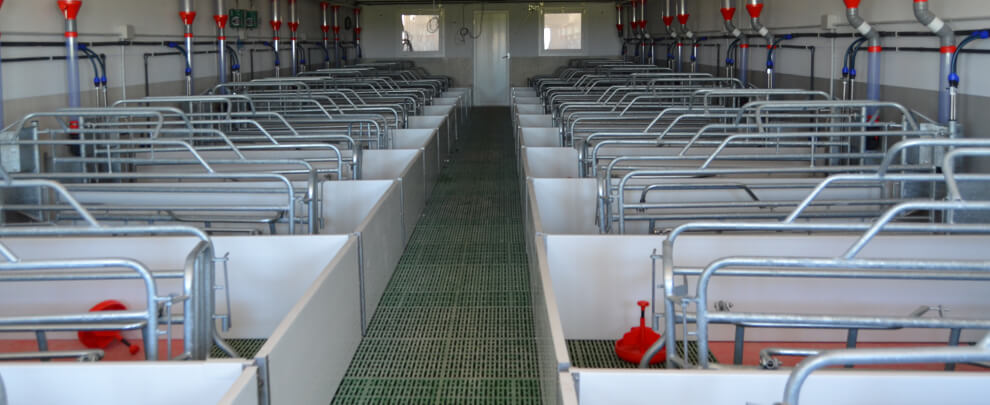 How to prepare pig farm facilities between batches?