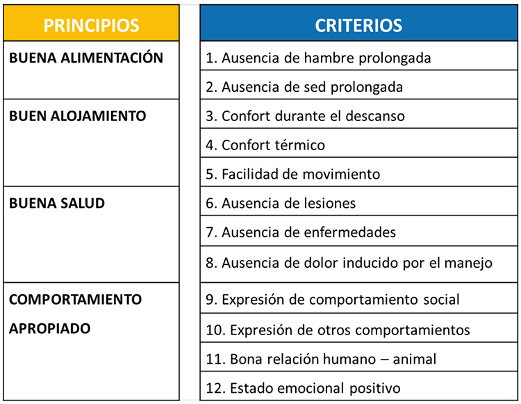 certificación bienestar animal