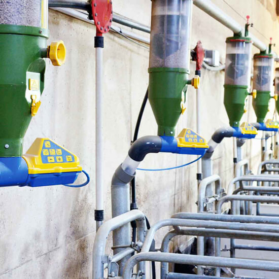 Imagen de varios dositronics de Rotecna montados en granja