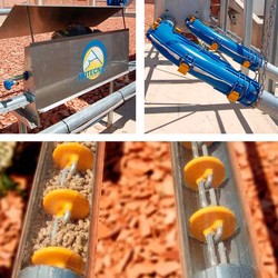 Pig Feed Management Systems For Fattening Phase Rotecna