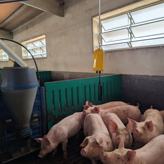sensoritronic in farm