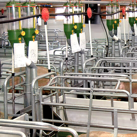 Pig installation with rotecna dispensers