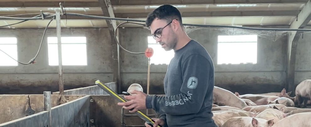 The pig sector, a future opportunity for young people