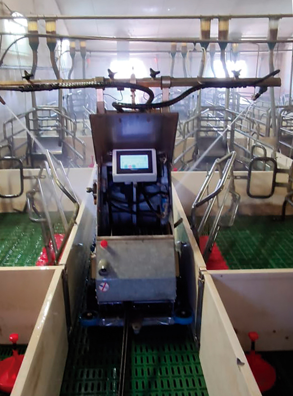 proceso de limpieza en granja porcina