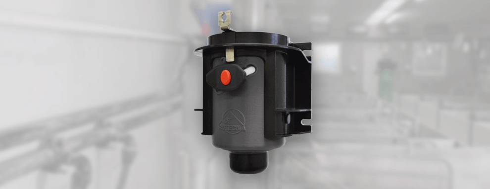 New feed dispenser for sows
