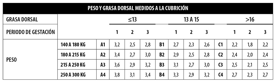 como alimentar cerdas gestantes