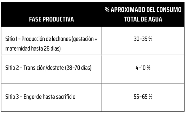 manejo agua cerdos engorde