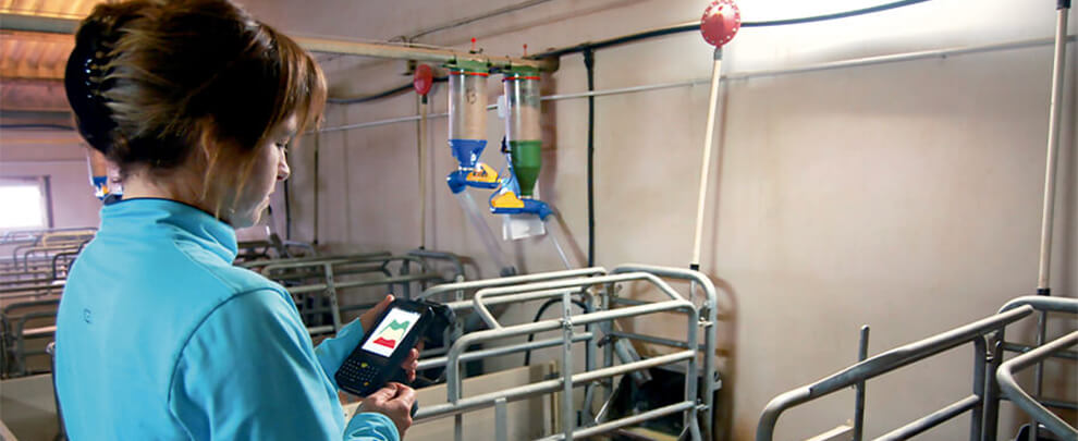 Tecnología de precisión aplicada al equipamiento de granjas porcinas